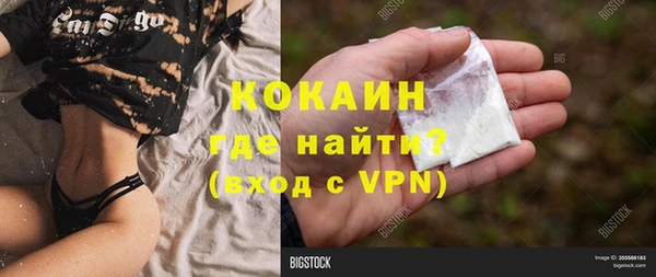 СК Богородск