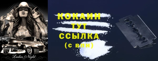 СК Богородск