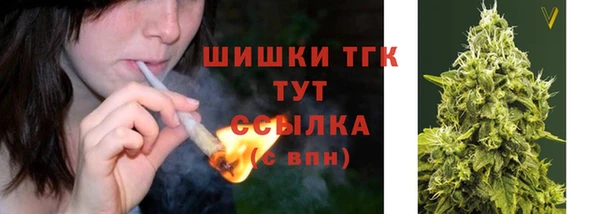 СК Богородск