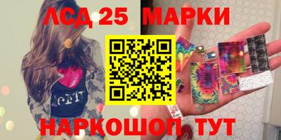 шишки Аргун