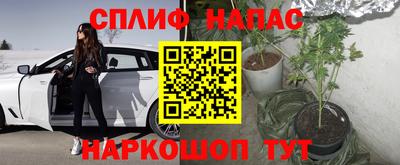a pvp Апшеронск