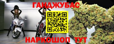 шишки Аргун