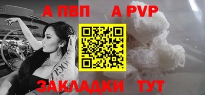 шишки Аргун