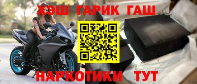 шишки Аргун