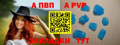 шишки Аргун