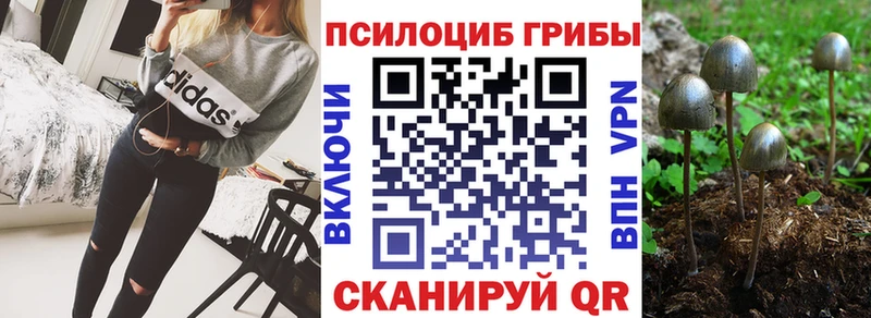 Псилоцибиновые грибы Psilocybine cubensis где найти Бузулук