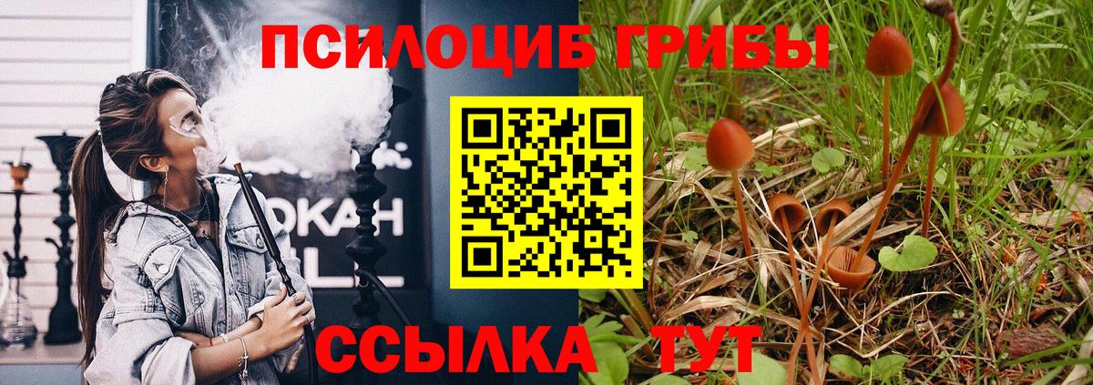 Псилоцибиновые грибы ЛСД  Вход с VPN  Бузулук 