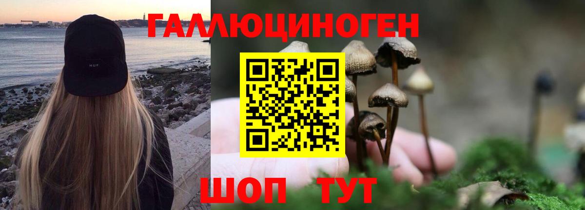 Псилоцибиновые грибы MAGIC MUSHROOMS Бузулук